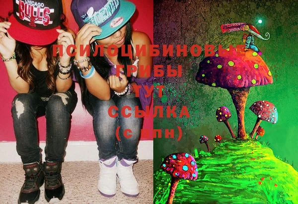 ECSTASY Михайловка