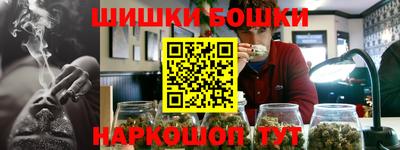 тгк Гай