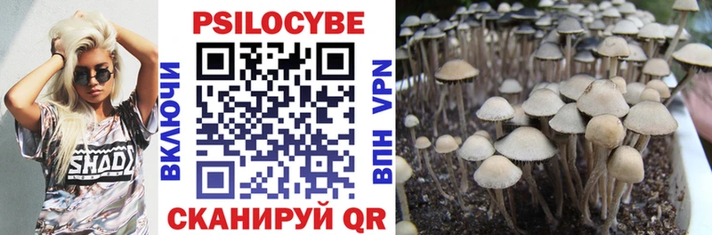 Псилоцибиновые грибы Cubensis  наркошоп  Полысаево 