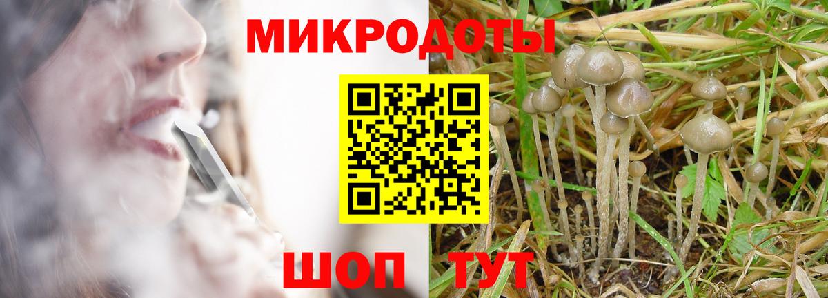 Галлюциногенные грибы мицелий  Псилоцибиновые грибы Cubensis  Вход с VPN  Полысаево 